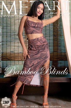 NAMY ASIAN BY ROBERT GRAHAM - BAMBOO BLINDS - ORIG. PHOTOS